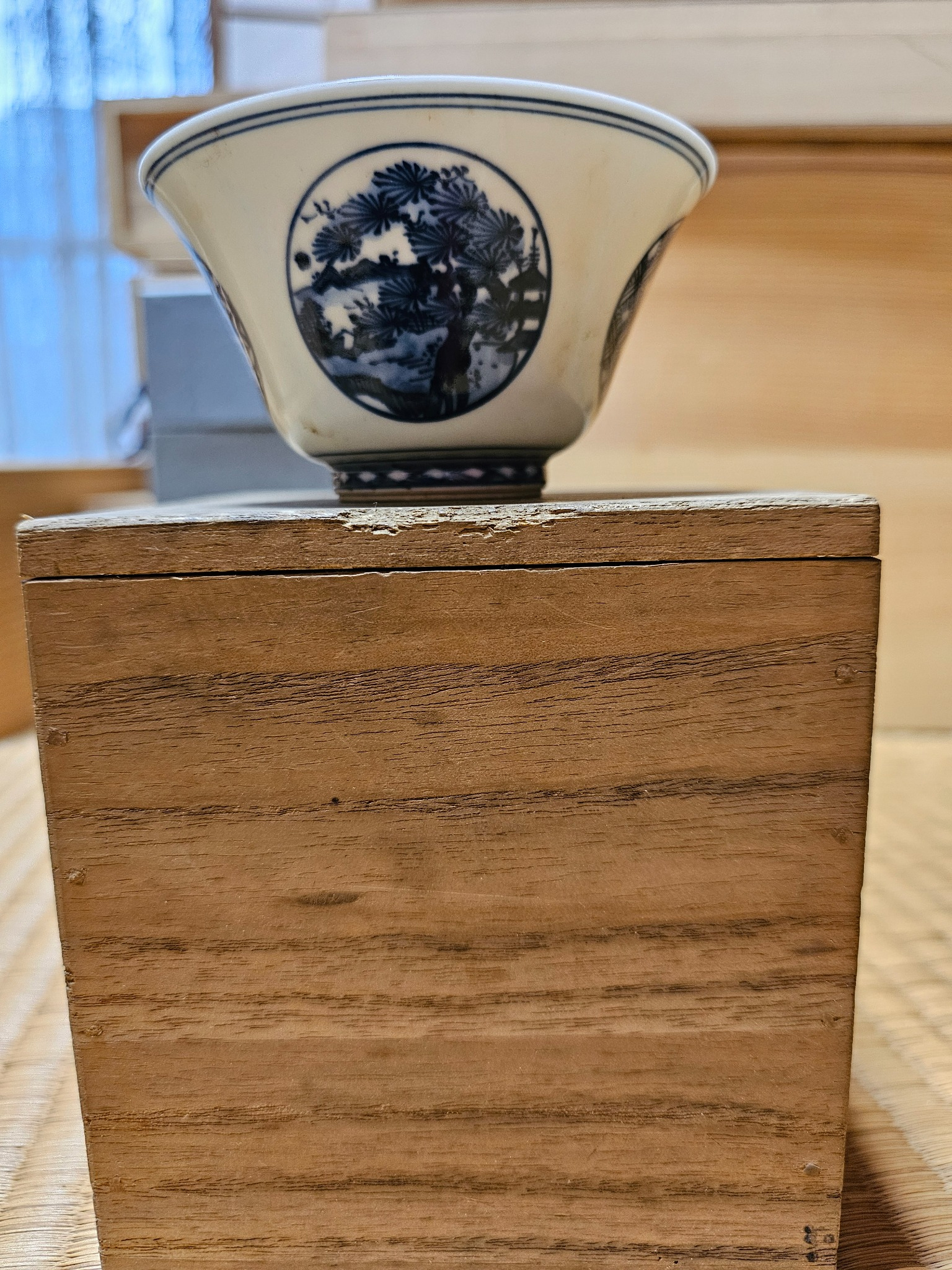 Blue and white bowl detail with pine landscape.