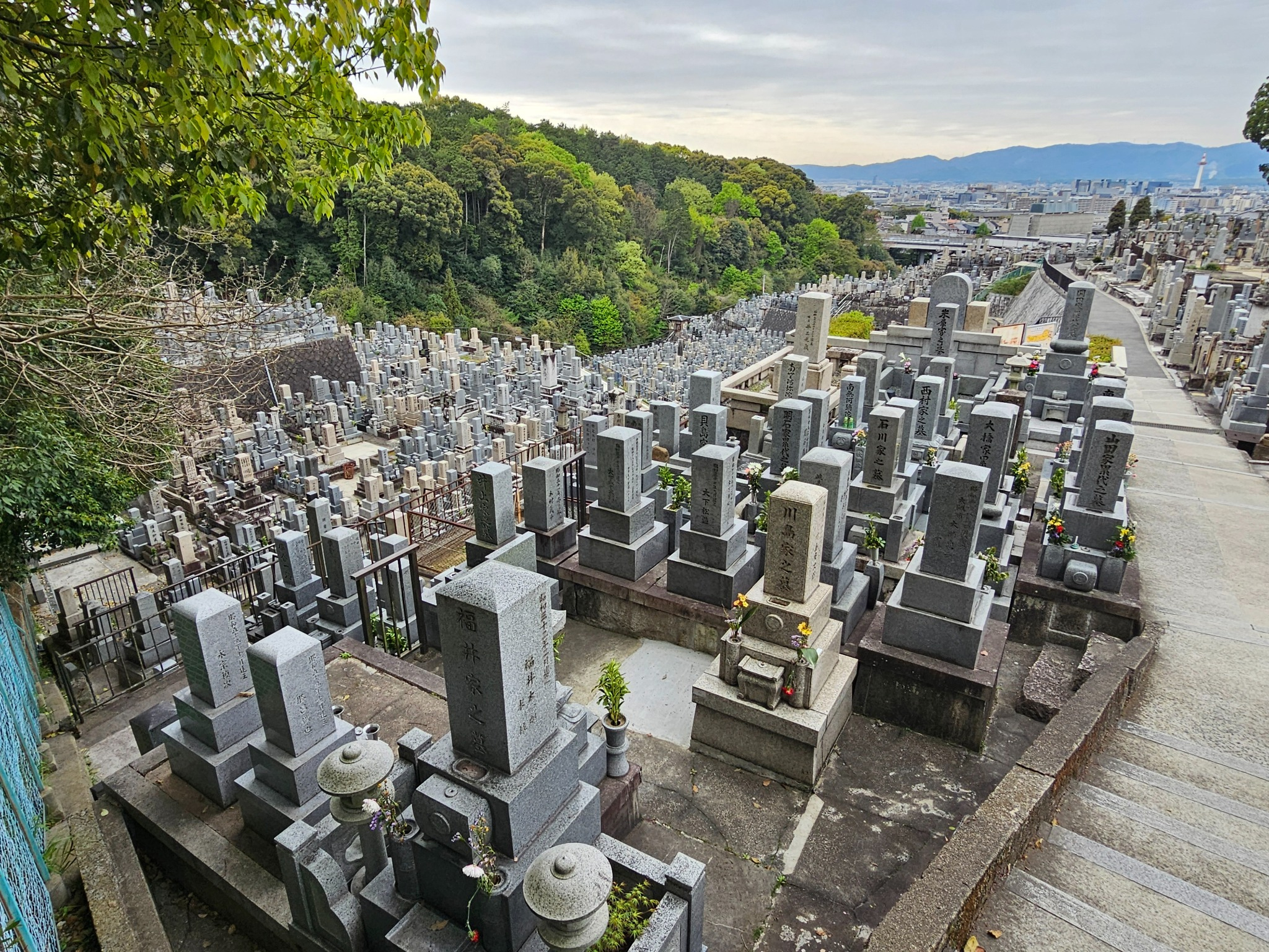 Kyoto hillside cemetery overlooking the city.