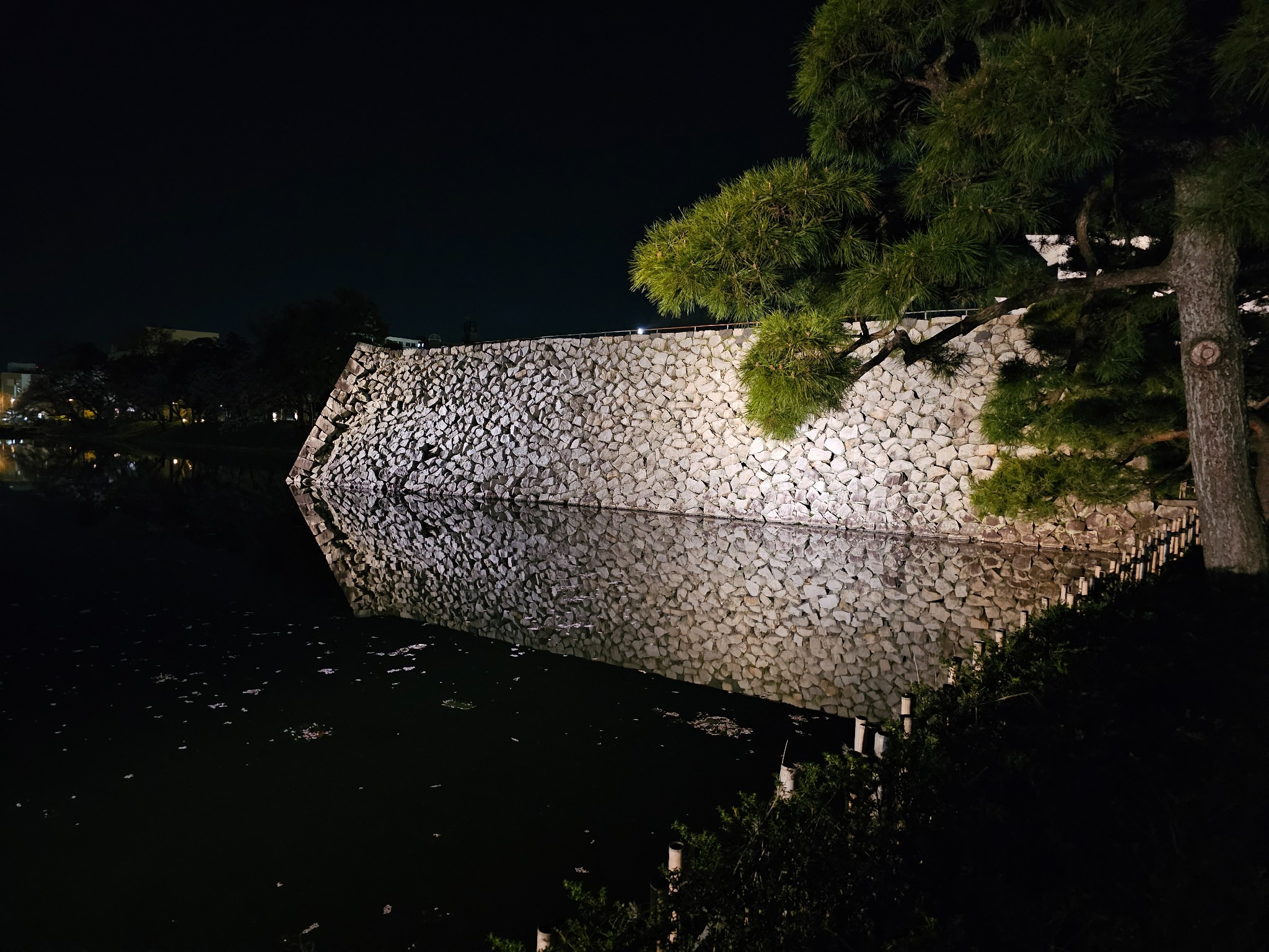 Toyama Castle moat at night with reflection.