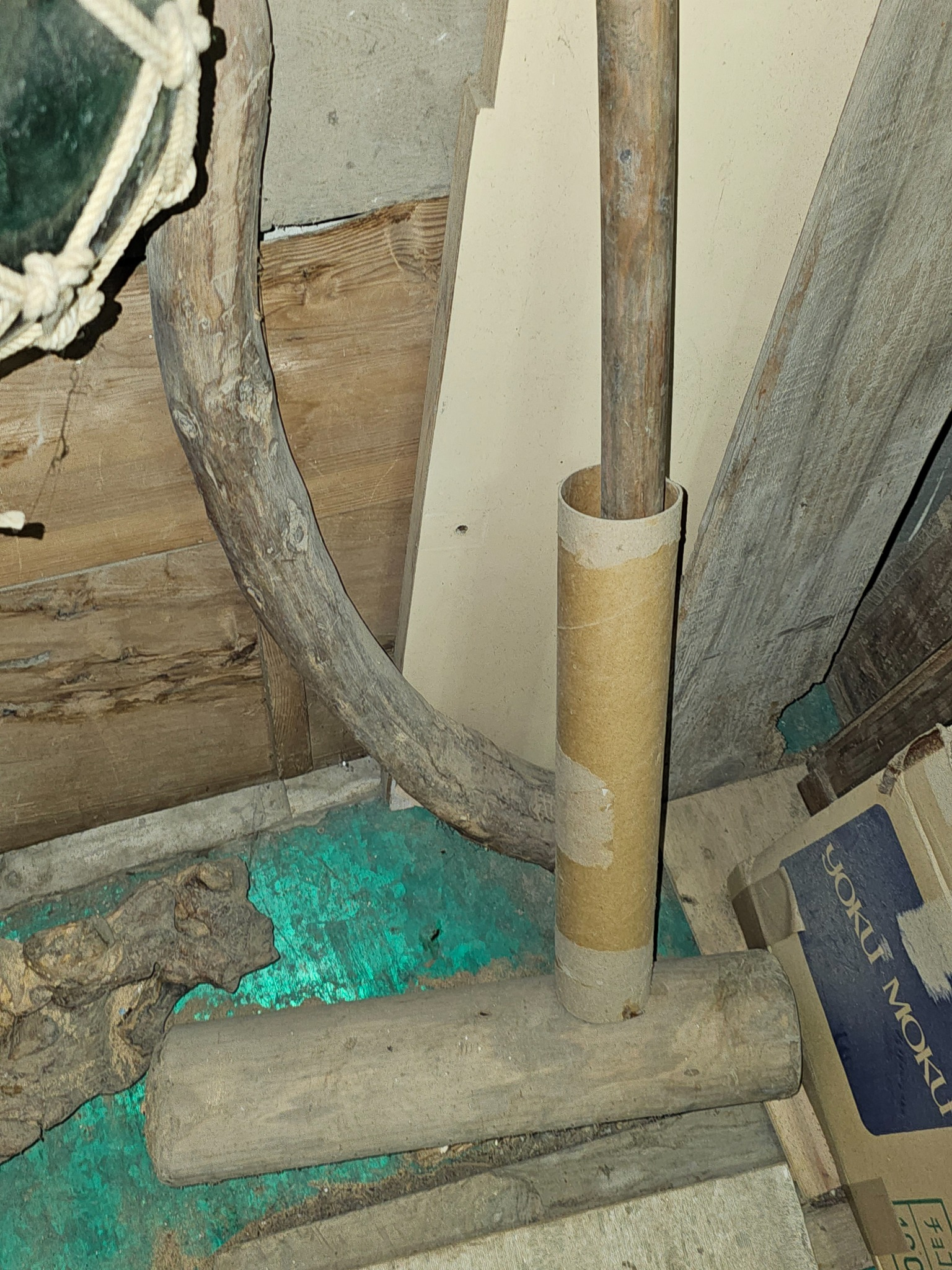 Usu and kine in corner view one.