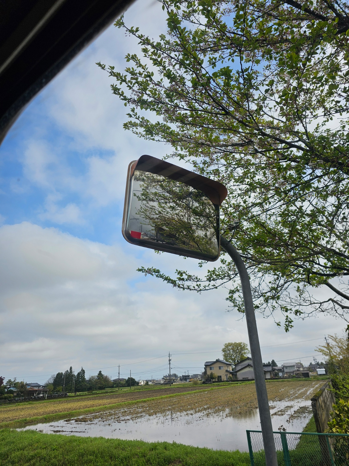 Roadside mirror over rice fields.