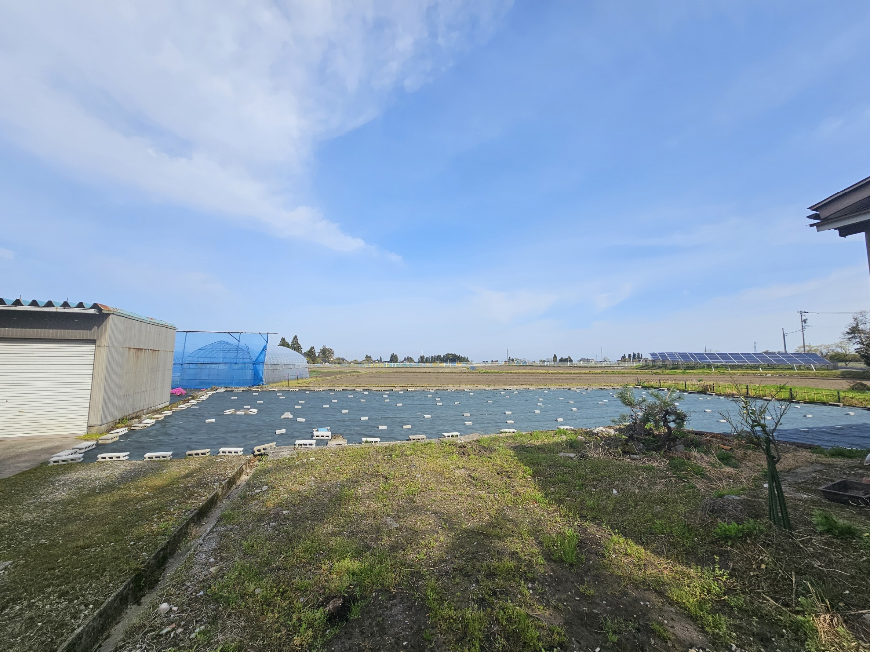 Open field behind the Hanasaki house.
