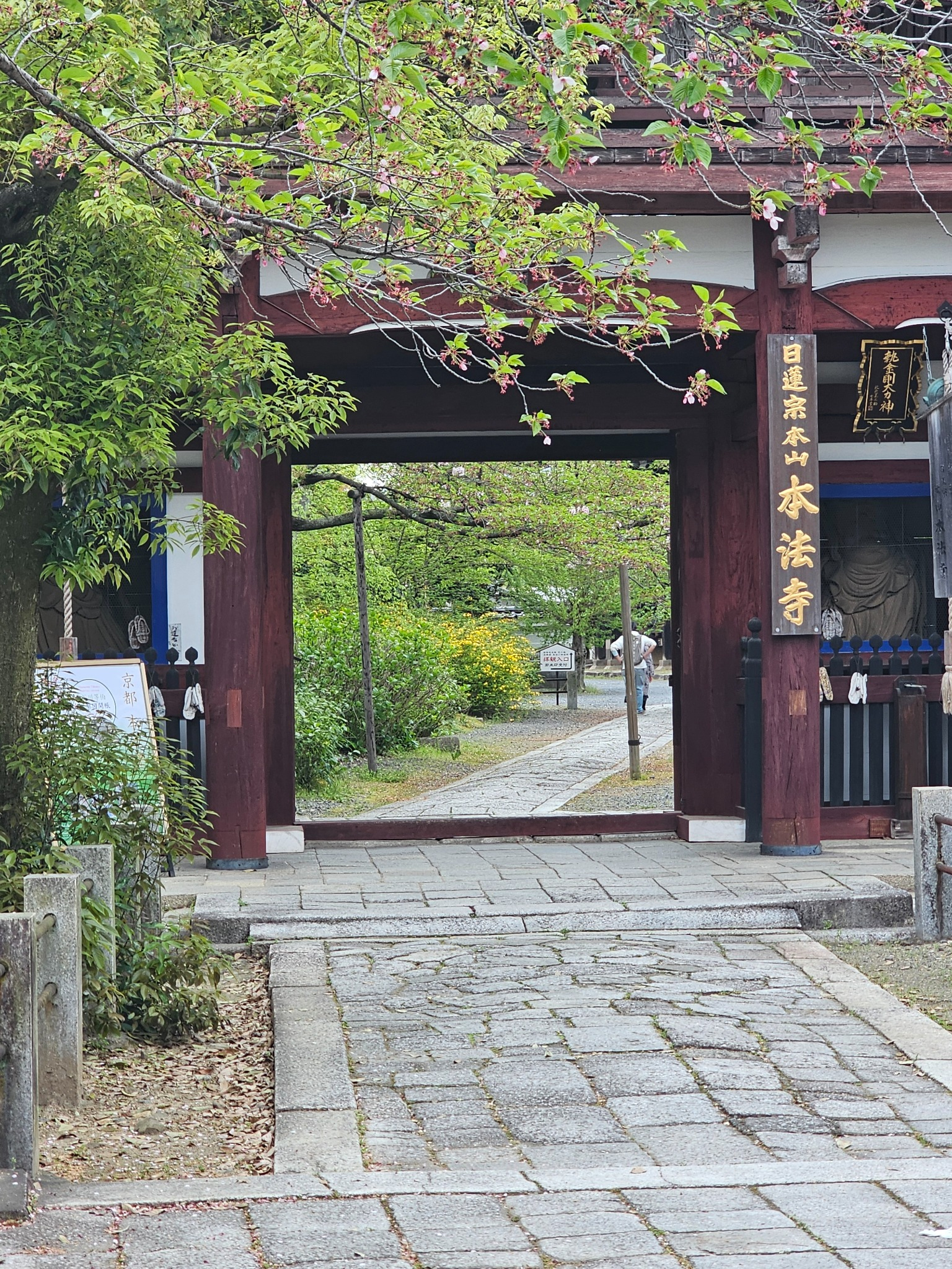Temple gate with spring greenery in Kyoto.